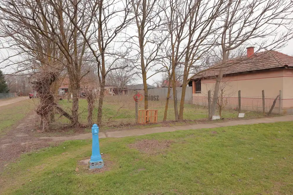 Csongrád megye - Sándorfalva