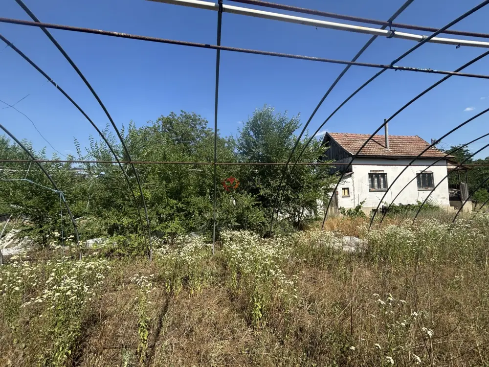 Csongrád megye - Sándorfalva