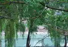 Somogy megye - Siófok