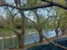 Somogy megye - Siófok