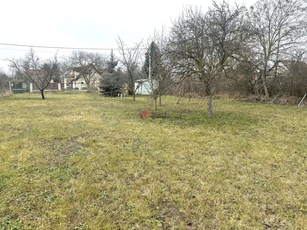 Csongrád megye - Szeged