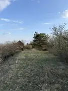 Pest megye - Szentendre