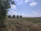 Bács-Kiskun megye - Szentkirály