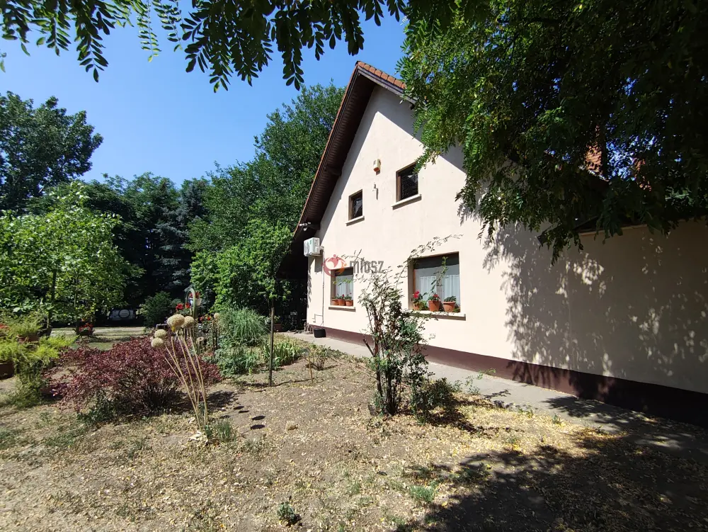 Bács-Kiskun megye - Szentkirály