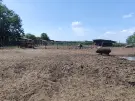 Bács-Kiskun megye - Szentkirály