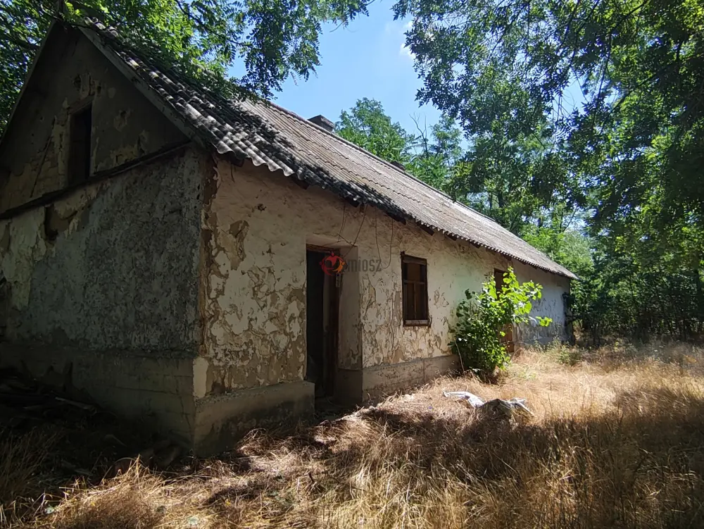 Bács-Kiskun megye - Szentkirály