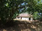 Bács-Kiskun megye - Szentkirály