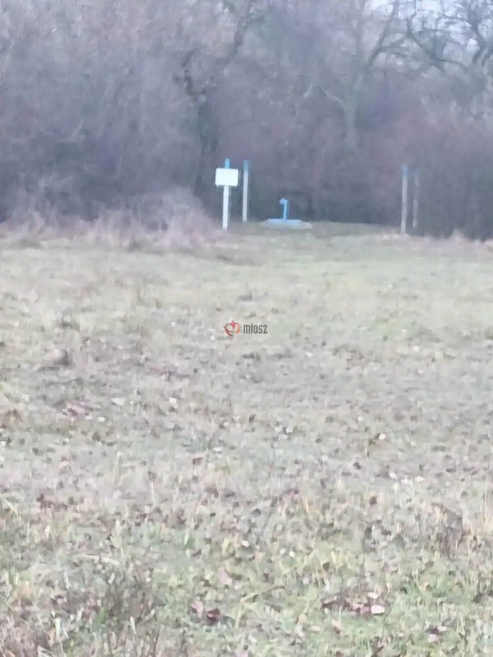 Pest megye - Szigetszentmiklós