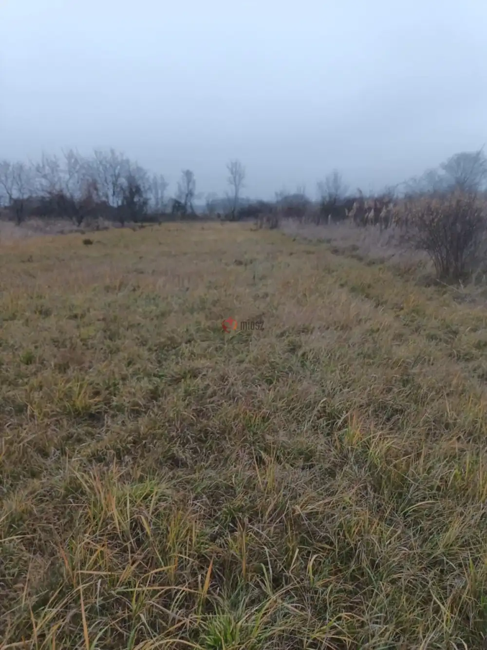 Pest megye - Szigetszentmiklós