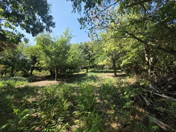 Eladó Építési telek, Teleki 3733 m² 10.9 M Ft