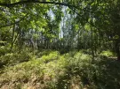 Somogy megye - Teleki