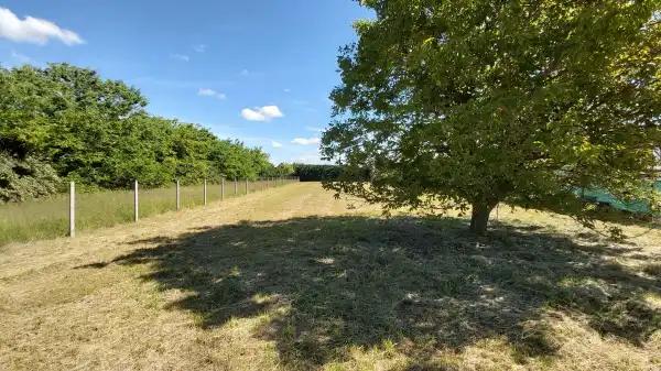 Eladó Építési telek, Vác 1600 m² 23.5 M Ft