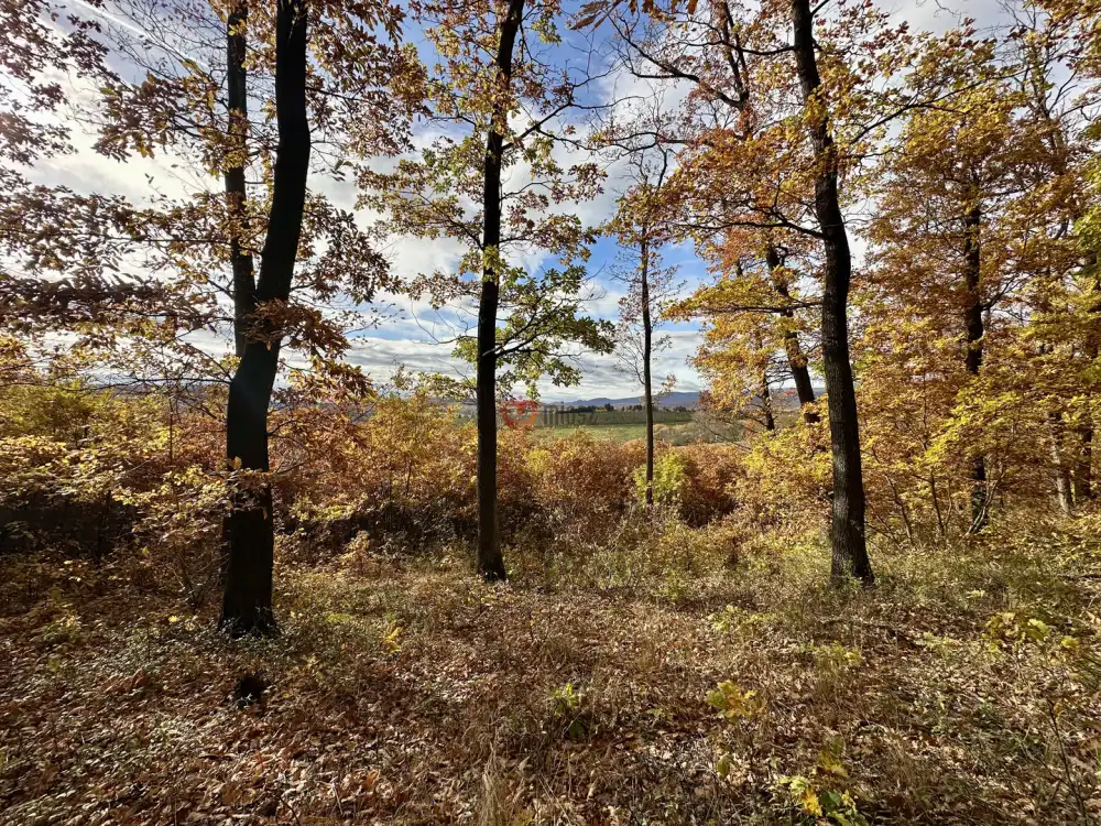 Nógrád megye - Berkenye