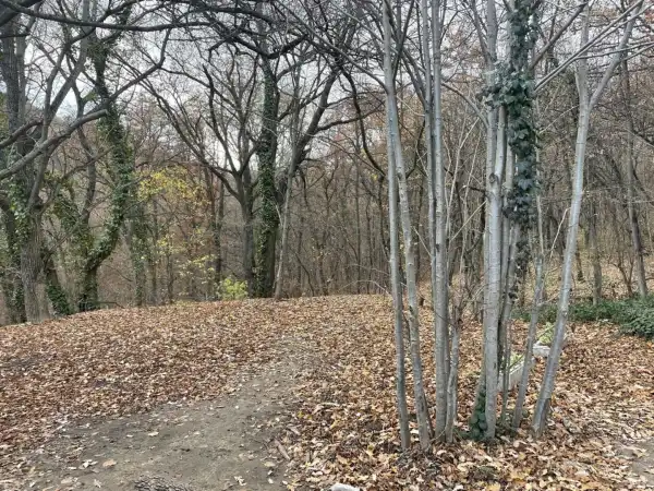 Eladó Erdő, Budapest, XII. kerület 518701 m² 320.8 M Ft