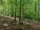 Vas megye - Felsőszölnök