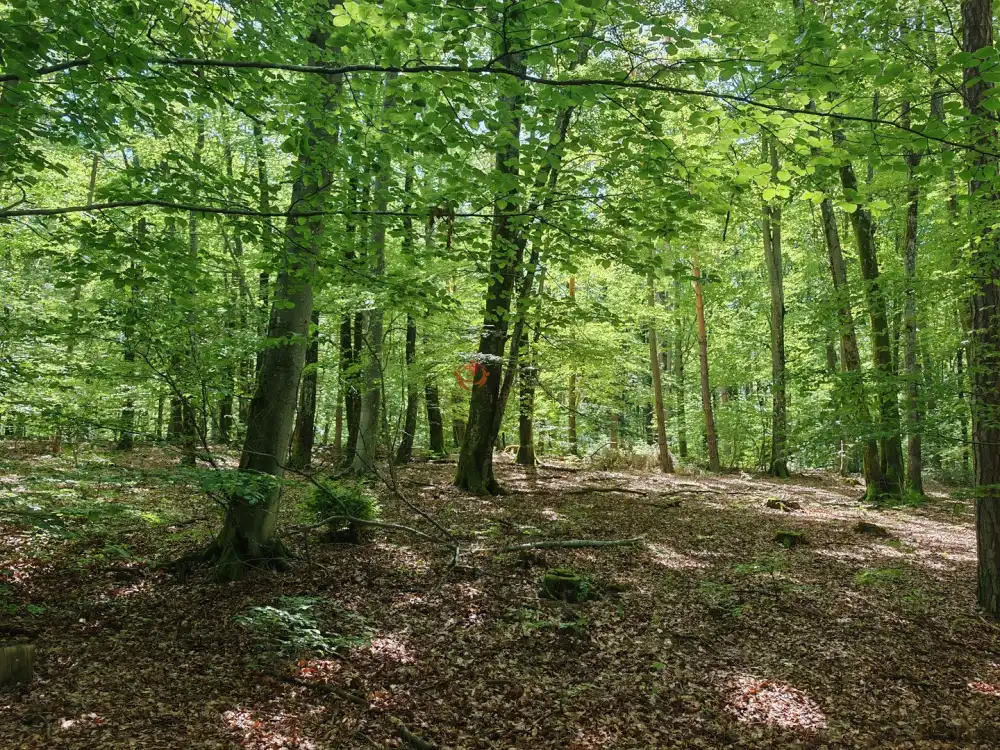 Vas megye - Felsőszölnök
