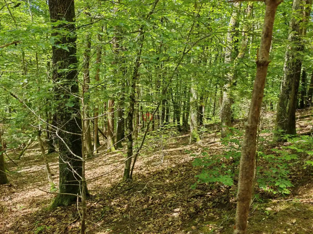 Vas megye - Felsőszölnök