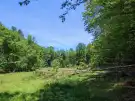 Vas megye - Felsőszölnök