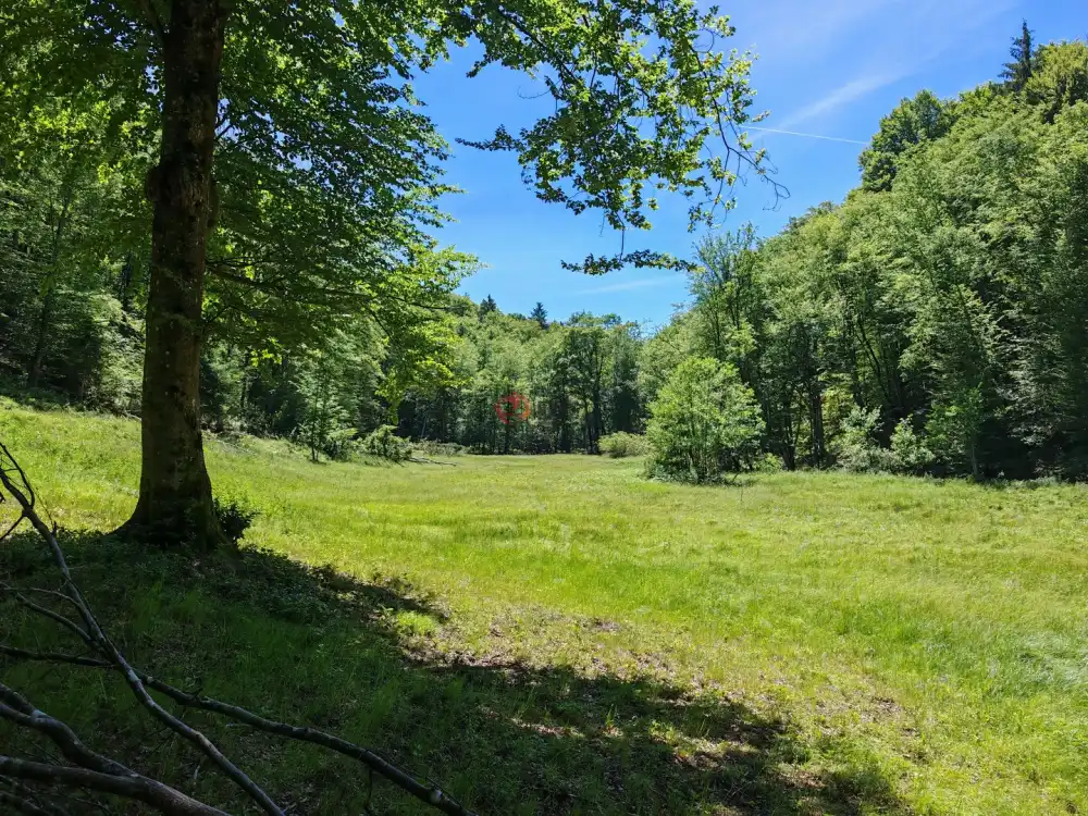 Vas megye - Felsőszölnök