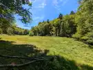 Vas megye - Felsőszölnök