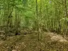 Vas megye - Felsőszölnök
