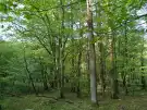 Vas megye - Kétvölgy