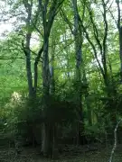 Vas megye - Kétvölgy