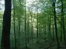 Vas megye - Kétvölgy