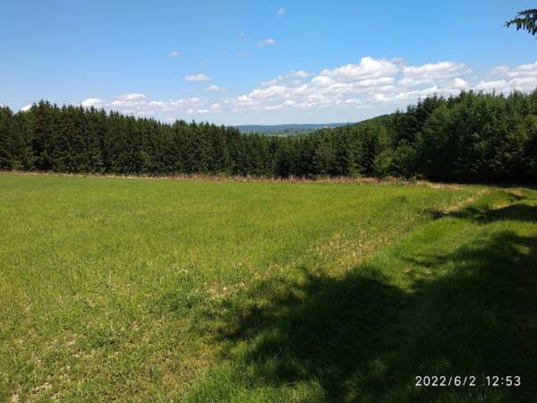 eladó  Erdő, Szakonyfalu