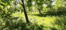 Pest megye - Verőce