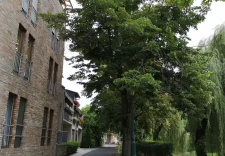 eladó garázs, Gyula