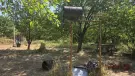 Fejér megye - Székesfehérvár