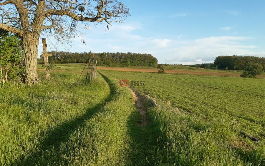 eladó  Gyümölcsös, Barnag