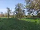 Vas megye - Hosszúpereszteg