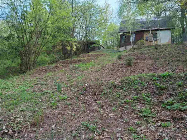Eladó Gyümölcsös, Kőszeg 1607 m² 15.9 M Ft