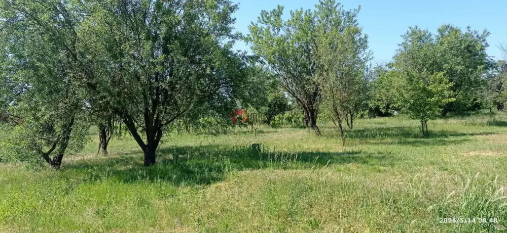 Baranya megye - Mohács
