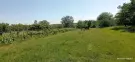 Baranya megye - Mohács
