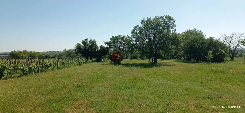 Baranya megye - Mohács