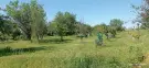 Baranya megye - Mohács