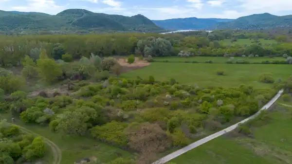 Eladó Gyümölcsös, Nagymaros 4248 m² 10.7 M Ft