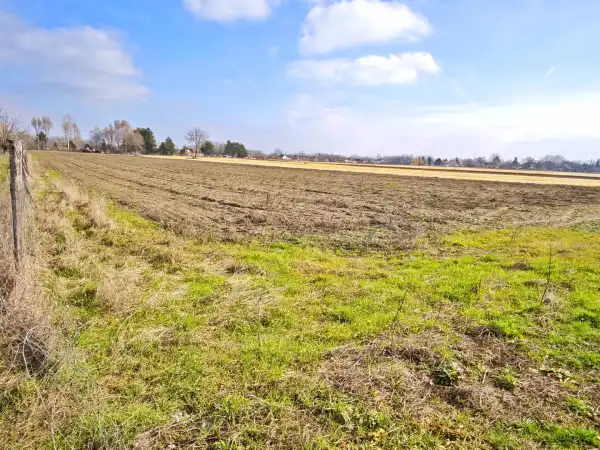 Eladó Gyümölcsös, Szatymaz 16301 m² 4.5 M Ft