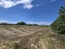 Jász-Nagykun-Szolnok megye - Tiszafüred