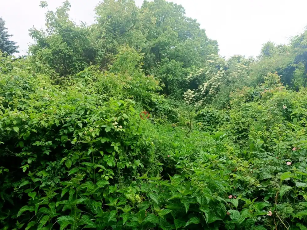 Pest megye - Vác