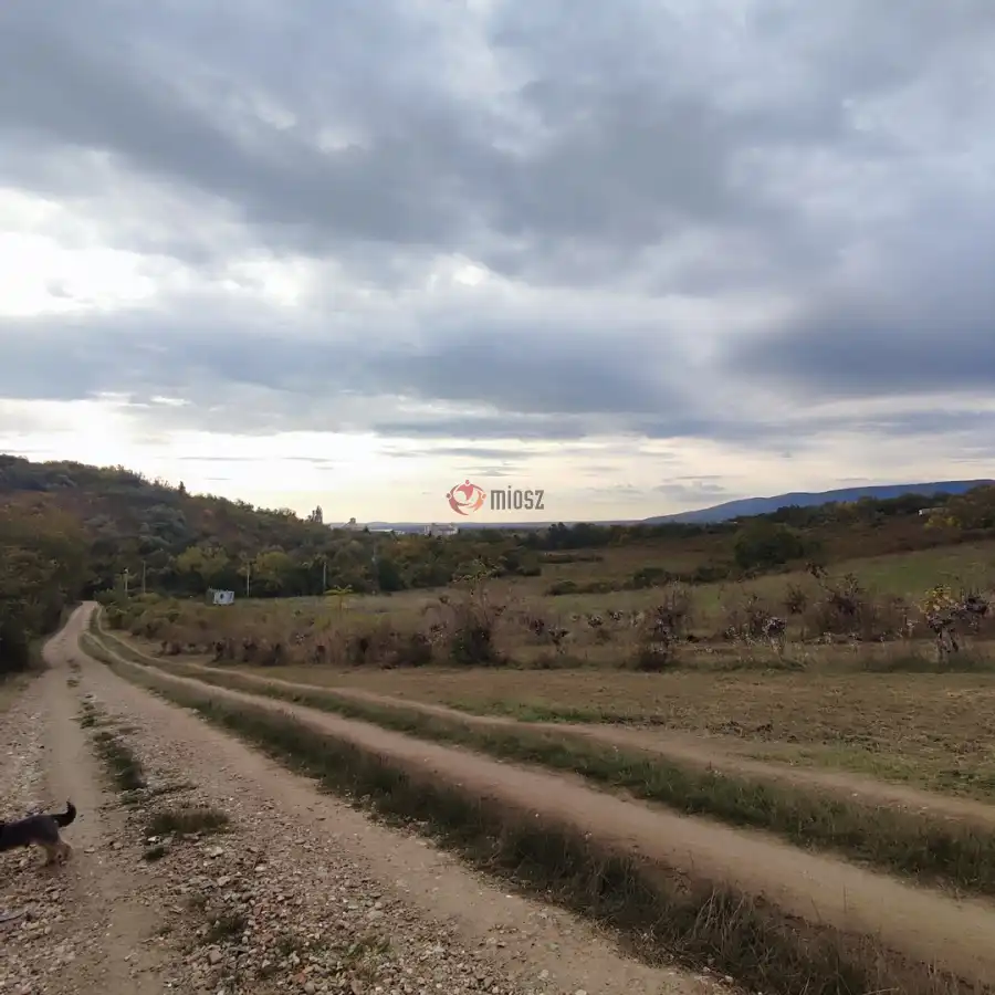 eladó  Gyümölcsös, Vác