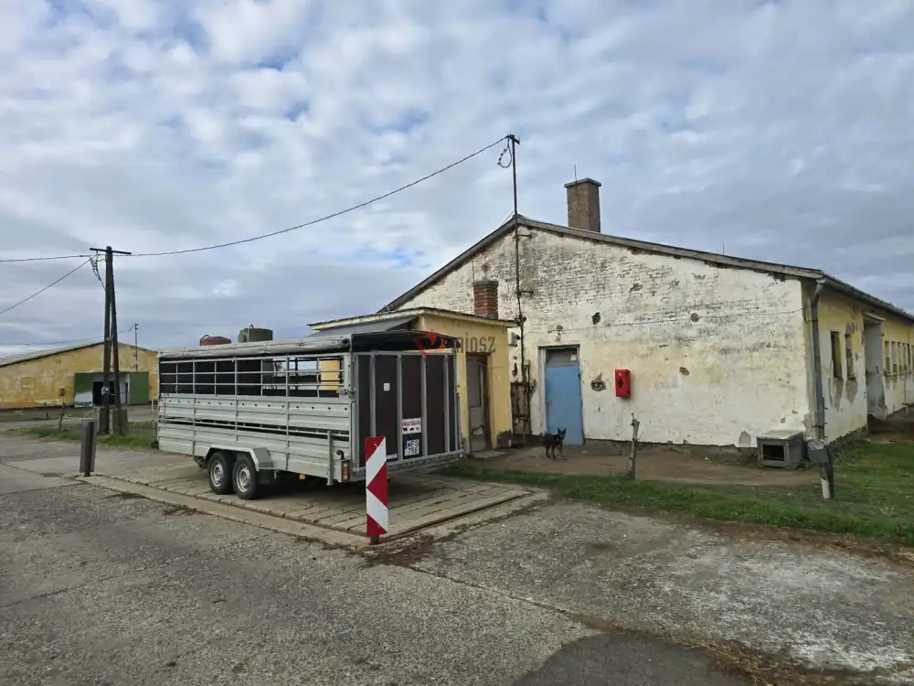 Békés megye - Békés