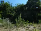 Komárom-Esztergom megye - Tatabánya