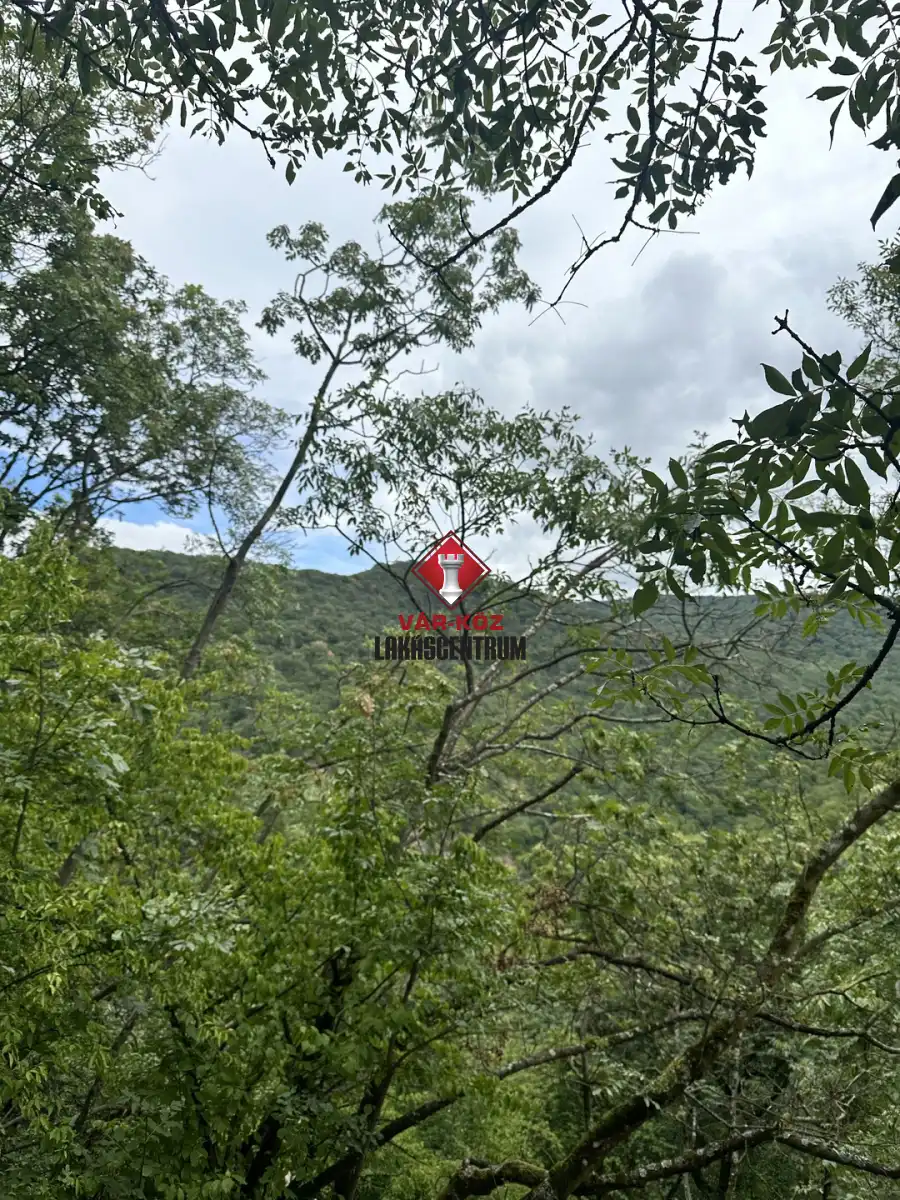 eladó  Ipari és kereskedelmi telek, Törökbálint