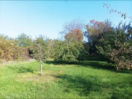 eladó ipari ingatlan, Békéscsaba