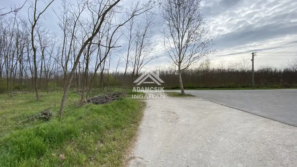 Pest megye - Csévharaszt