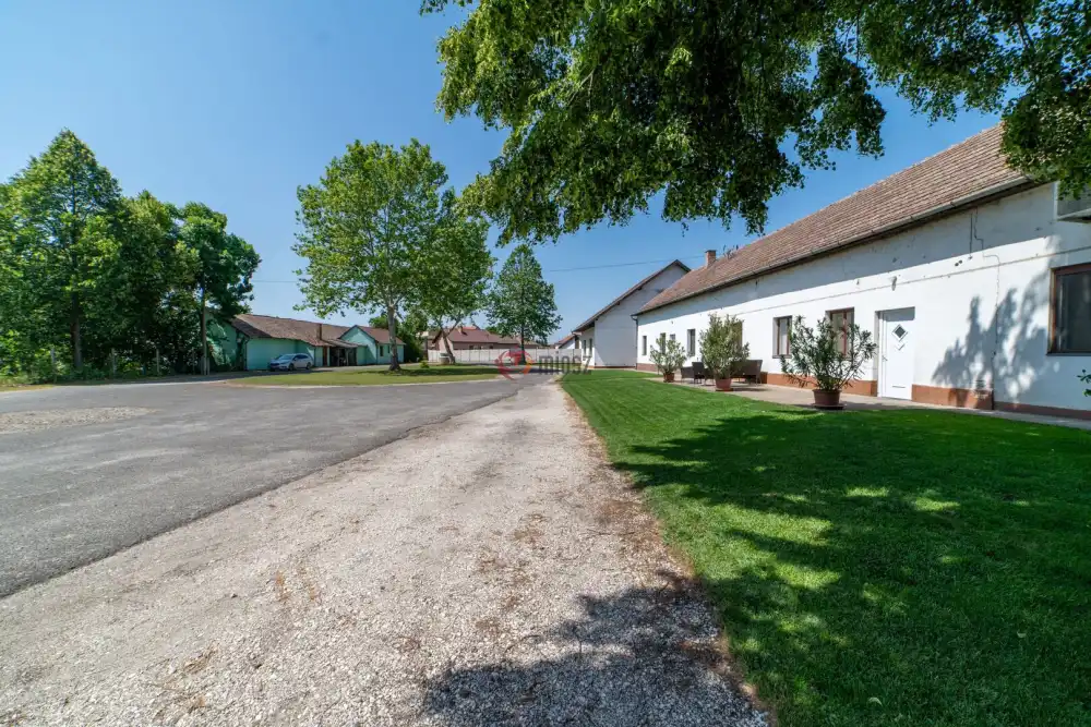 Csongrád megye - Domaszék